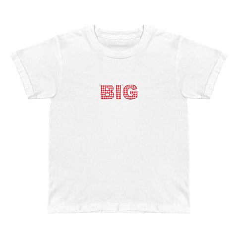 Family Picnic Big Little Baby Tee