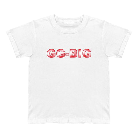 Family Picnic Big Little Baby Tee
